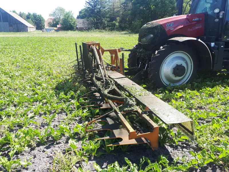 Écimeuse L’éco Selac